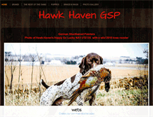 Tablet Screenshot of hawkhavengsp.com
